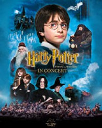 Harry Potter und der Stein der Weisen™