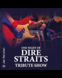 ONE NIGHT OF DIRE STRAITS - TRIBUTE SHOW