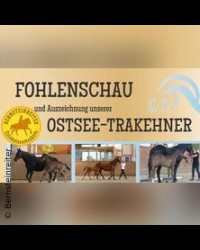 FOHLENSCHAU DER OSTSEE-TRAKEHNER